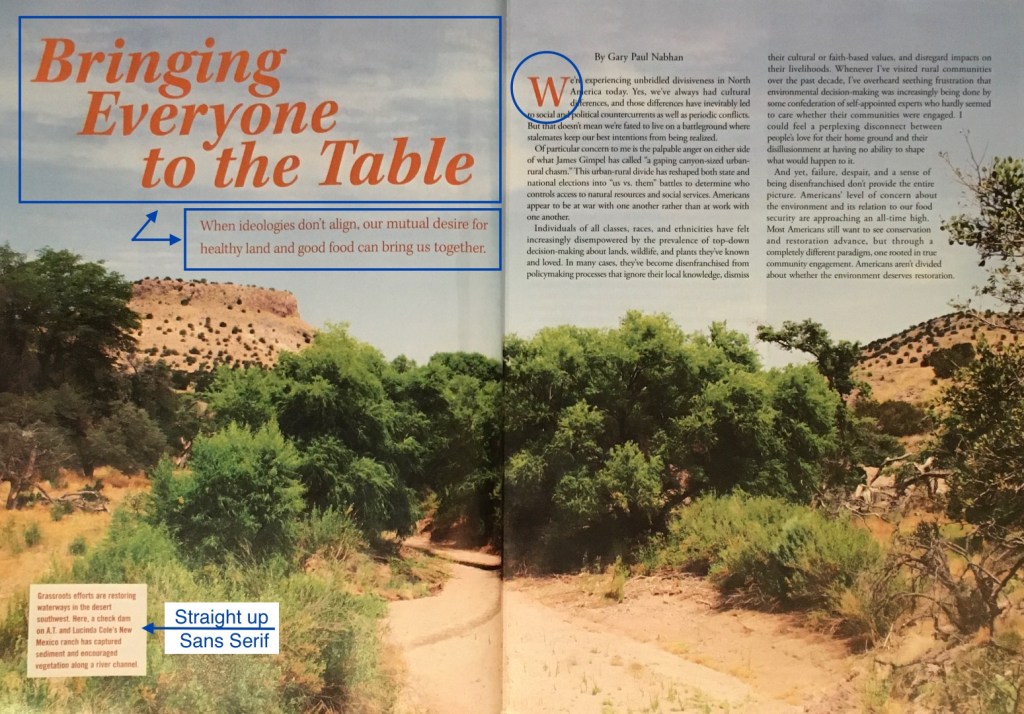 Analysis of magazine spread typeface.